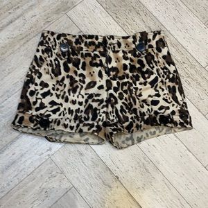leopard shorts